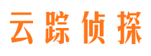 老城市私人侦探